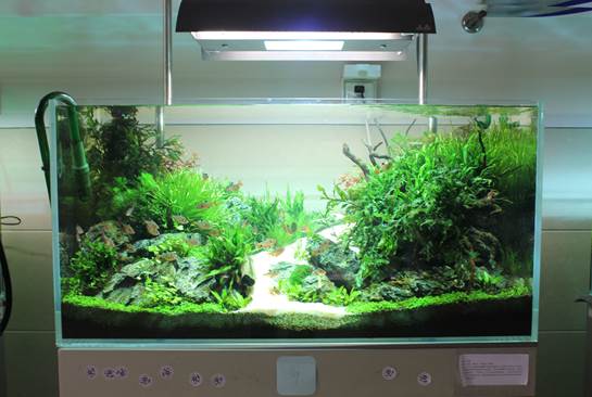 Macintosh HD:Users:zhaisifan:Downloads:评比_1:9流源.JPG